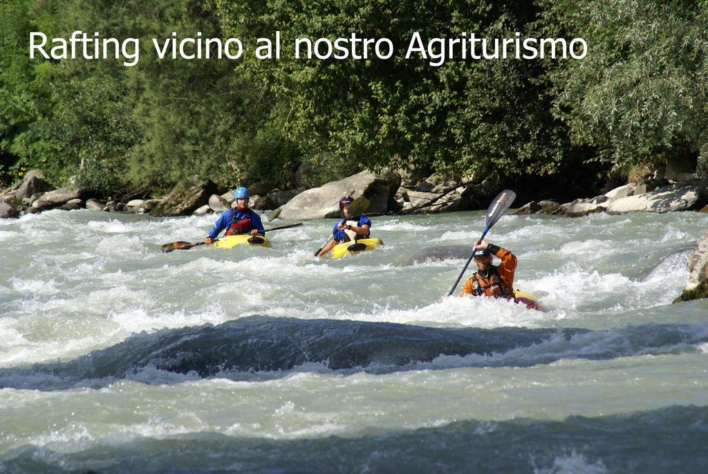 Agriturismo Terra E Sole SantʼAmbrogio di Valpolicella المظهر الخارجي الصورة